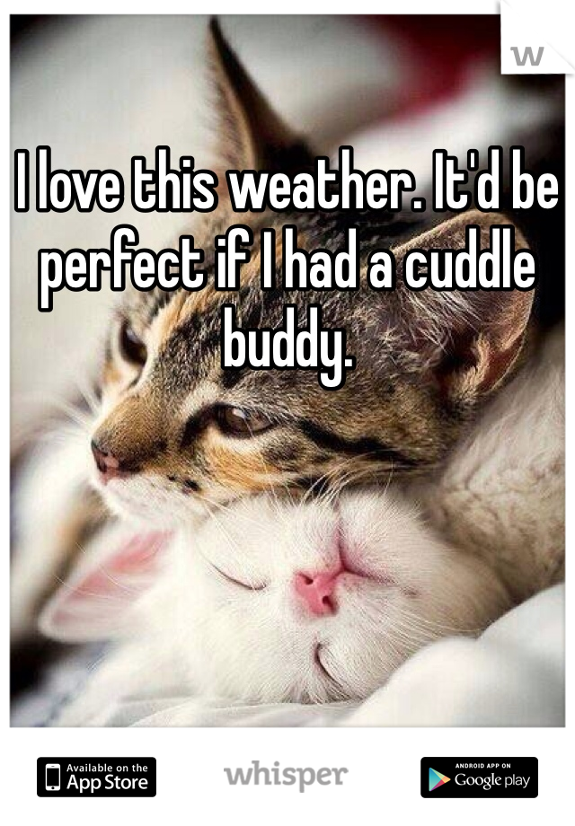 I love this weather. It'd be perfect if I had a cuddle buddy. 