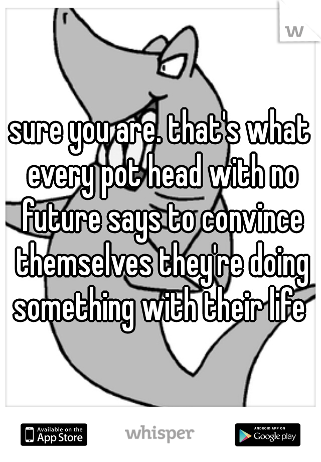 sure you are. that's what every pot head with no future says to convince themselves they're doing something with their life 