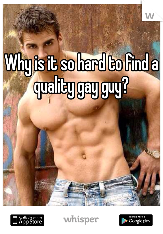 Why is it so hard to find a quality gay guy?