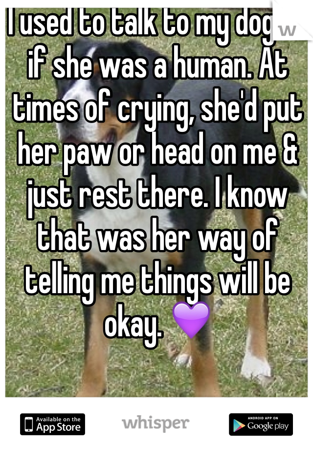 I used to talk to my dog as if she was a human. At times of crying, she'd put her paw or head on me & just rest there. I know that was her way of telling me things will be okay. 💜