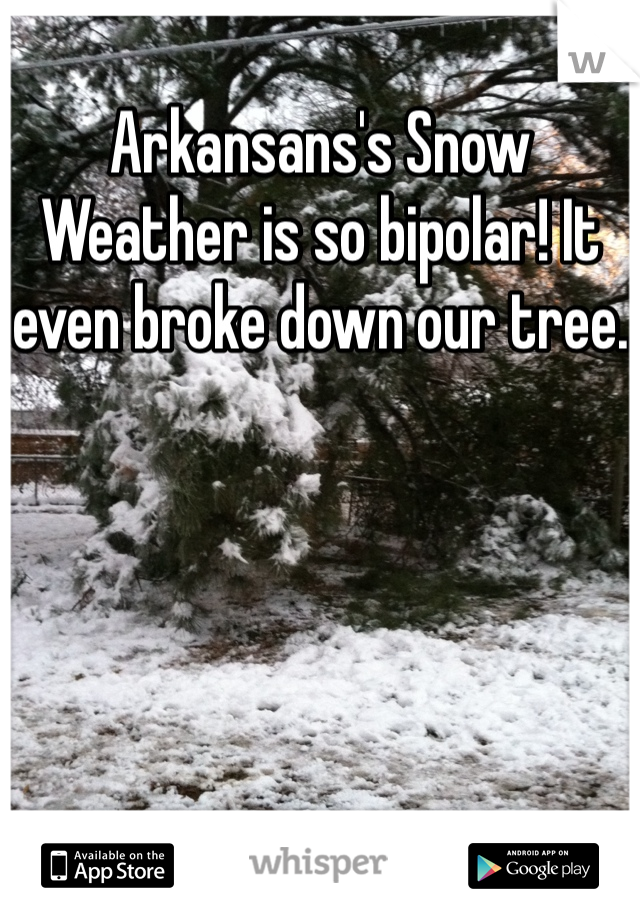 Arkansans's Snow Weather is so bipolar! It even broke down our tree.