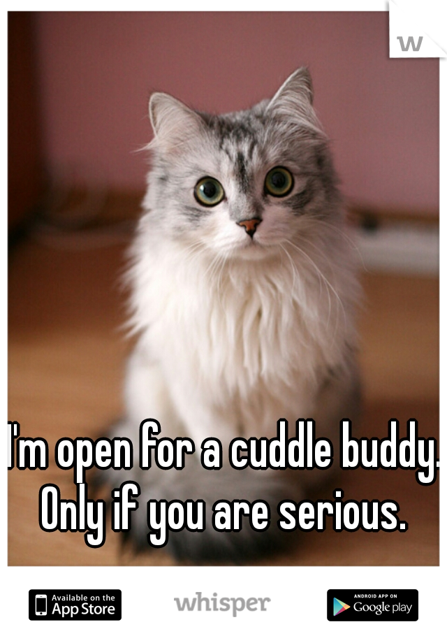 I'm open for a cuddle buddy. Only if you are serious. 