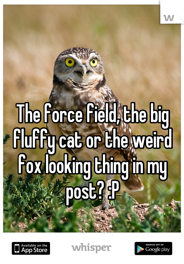 The force field, the big fluffy cat or the weird fox looking thing in my post? :P