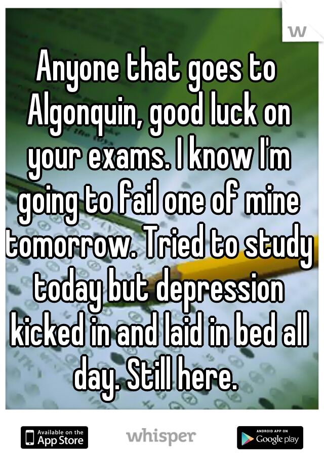 Anyone that goes to Algonquin, good luck on your exams. I know I'm going to fail one of mine tomorrow. Tried to study today but depression kicked in and laid in bed all day. Still here. 