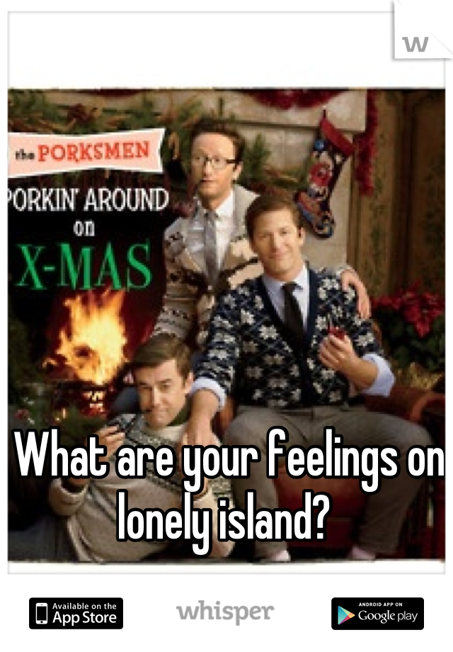 What are your feelings on lonely island? 