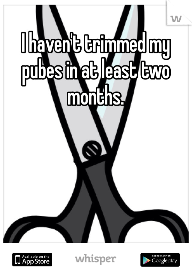 I haven't trimmed my pubes in at least two months. 