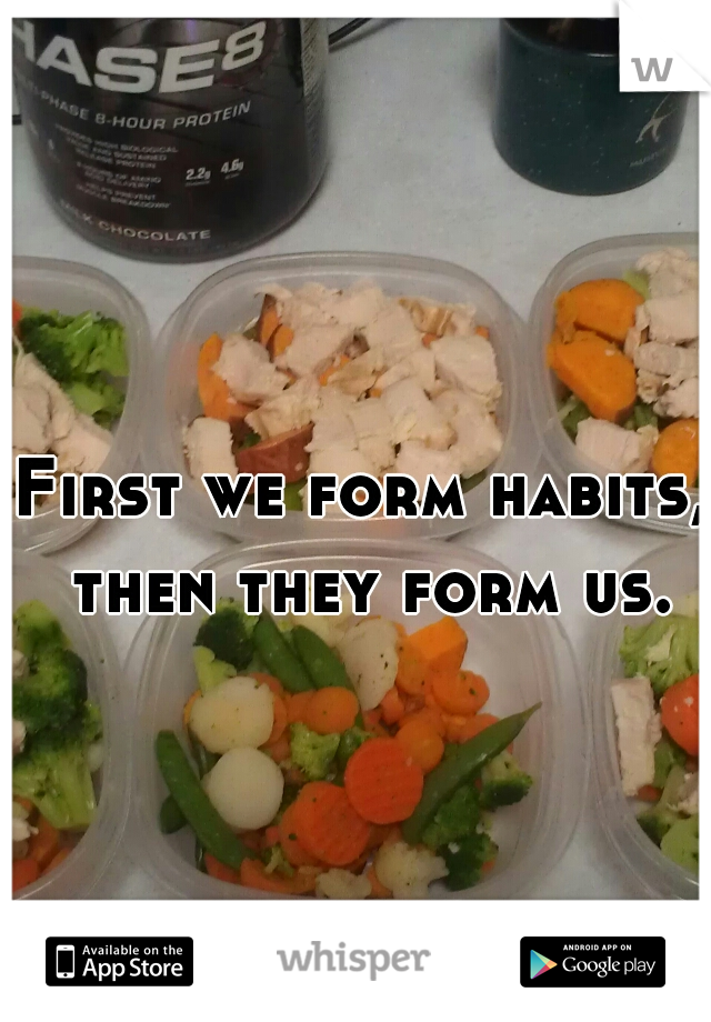 First we form habits, then they form us.