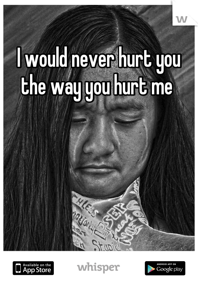 I would never hurt you the way you hurt me 