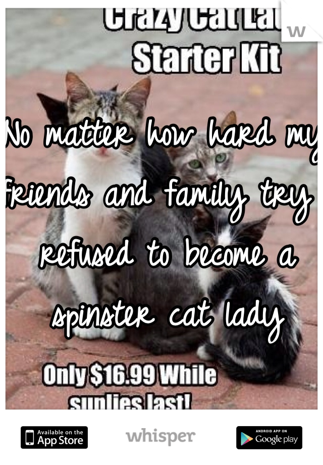 No matter how hard my friends and family try I refused to become a spinster cat lady
