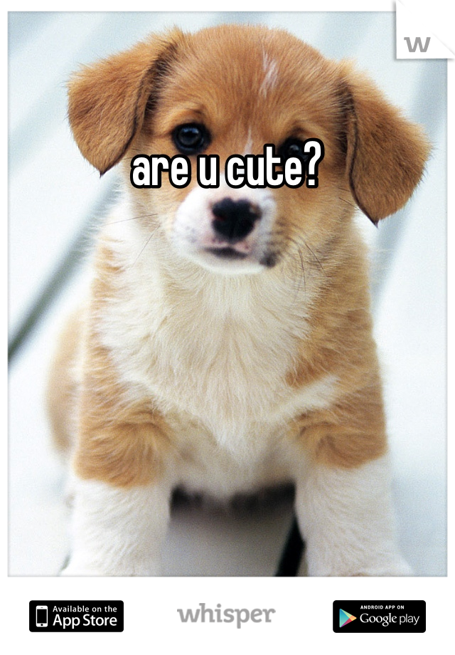 are u cute?