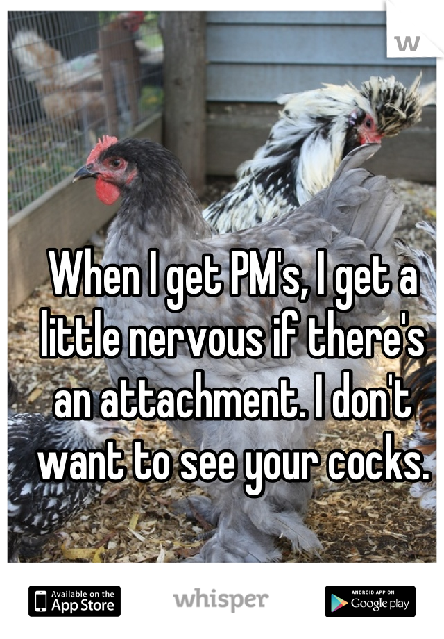 When I get PM's, I get a little nervous if there's an attachment. I don't want to see your cocks.