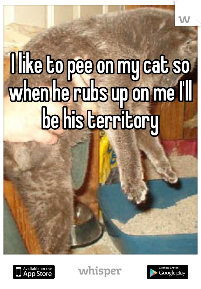 I like to pee on my cat so when he rubs up on me I'll be his territory 