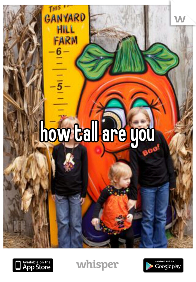 how tall are you