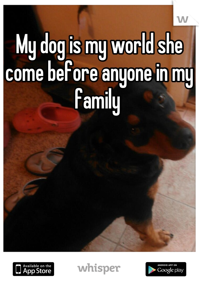 My dog is my world she come before anyone in my family 
