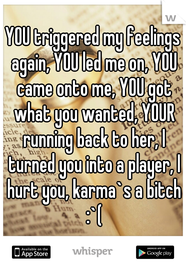 YOU triggered my feelings again, YOU led me on, YOU came onto me, YOU got what you wanted, YOUR running back to her, I turned you into a player, I hurt you, karma`s a bitch :`(