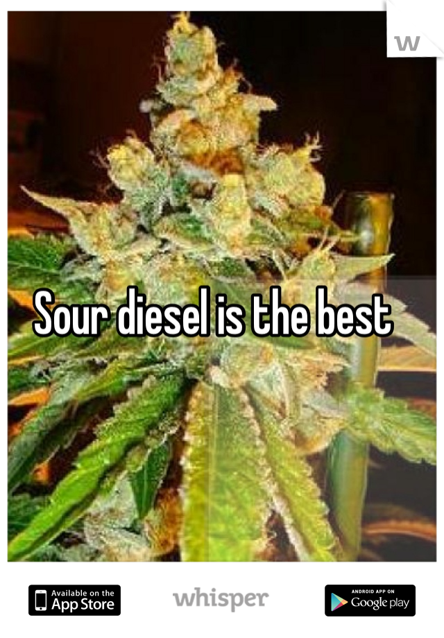 Sour diesel is the best 
