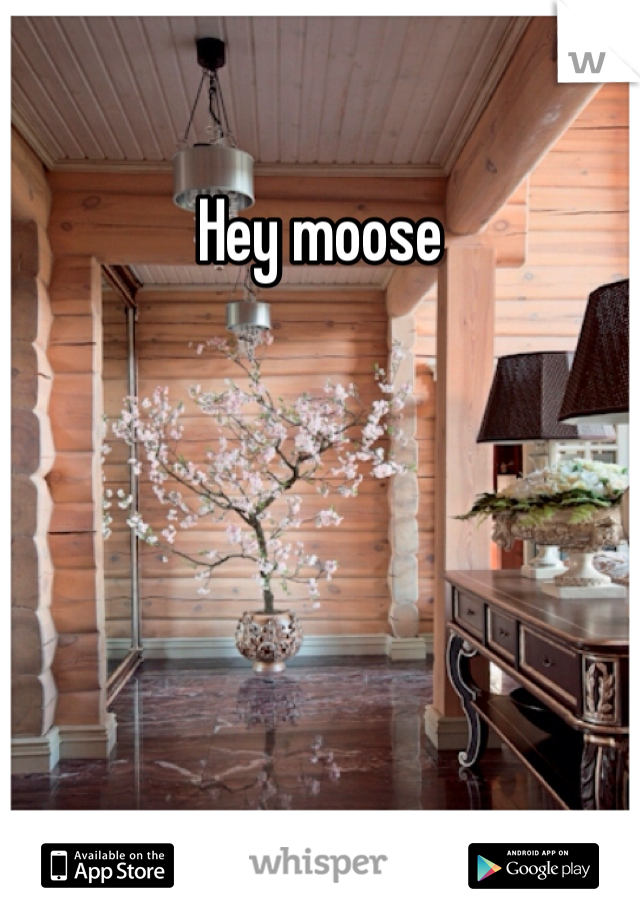 Hey moose