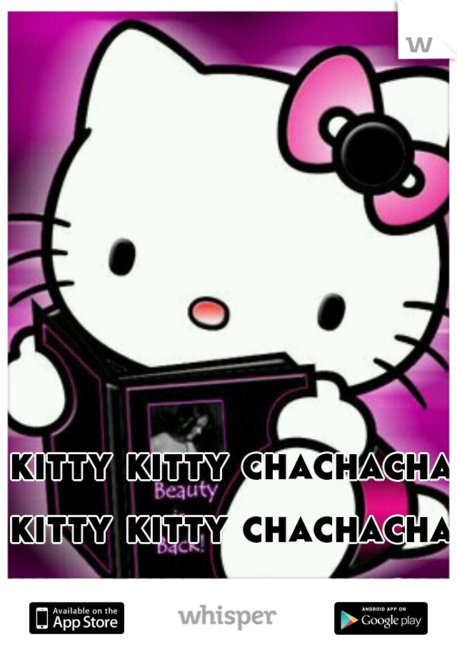 kitty kitty chachacha
kitty kitty chachacha
kitty kitty chachacha