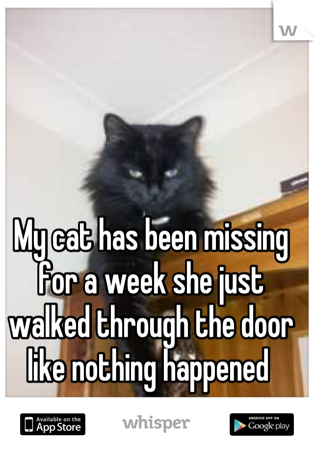 My cat has been missing for a week she just walked through the door like nothing happened 