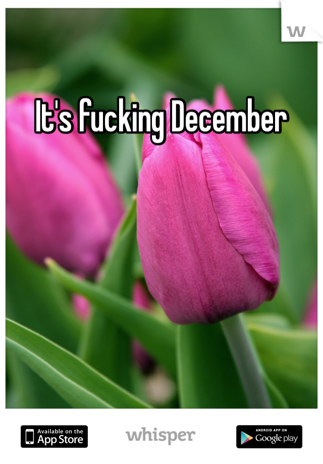It's fucking December