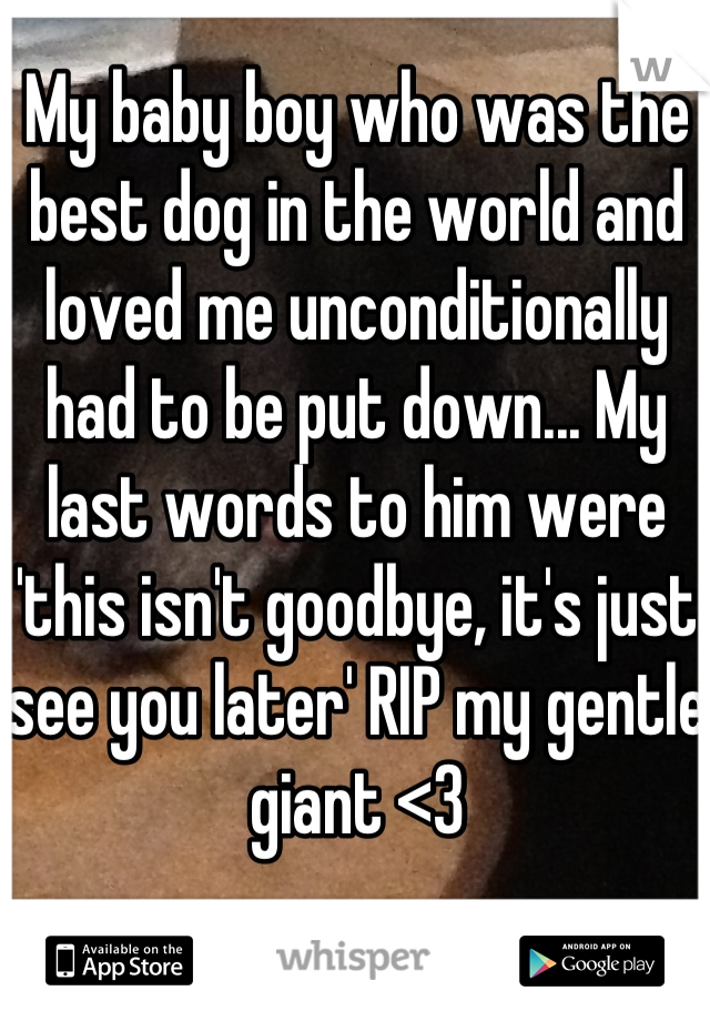 My baby boy who was the best dog in the world and loved me unconditionally had to be put down... My last words to him were 'this isn't goodbye, it's just see you later' RIP my gentle giant <3