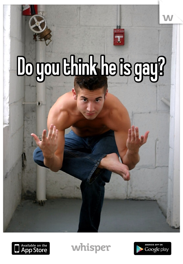 Do you think he is gay?