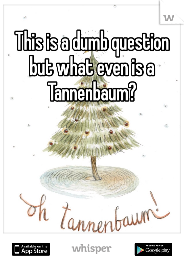 This is a dumb question but what even is a Tannenbaum? 