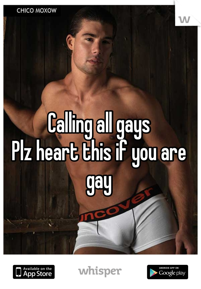 Calling all gays
Plz heart this if you are gay