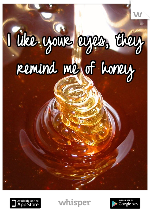 I like your eyes, they remind me of honey