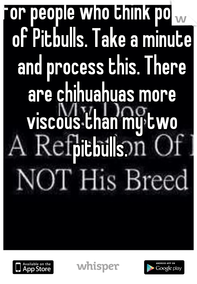 For people who think poorly of Pitbulls. Take a minute and process this. There are chihuahuas more viscous than my two pitbulls. 