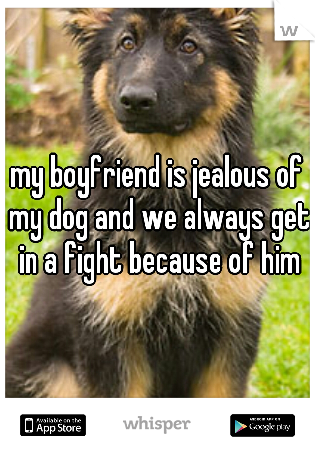 my boyfriend is jealous of my dog and we always get in a fight because of him