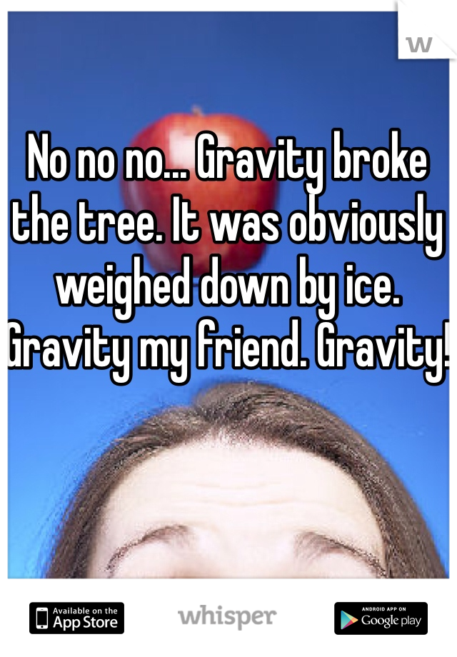 No no no... Gravity broke the tree. It was obviously weighed down by ice. Gravity my friend. Gravity!