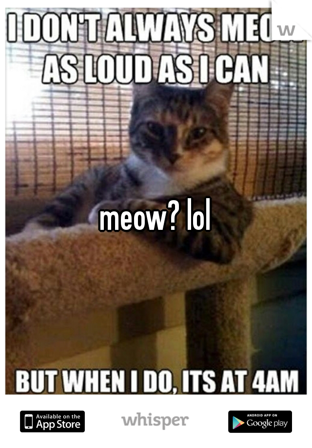 meow? lol