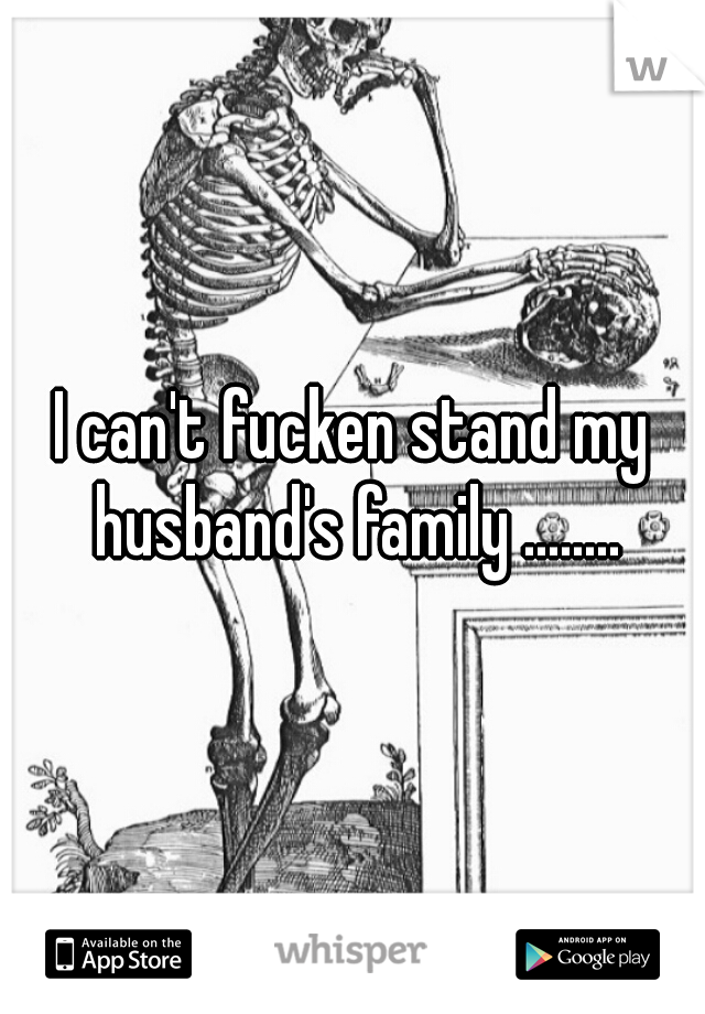 I can't fucken stand my husband's family ........