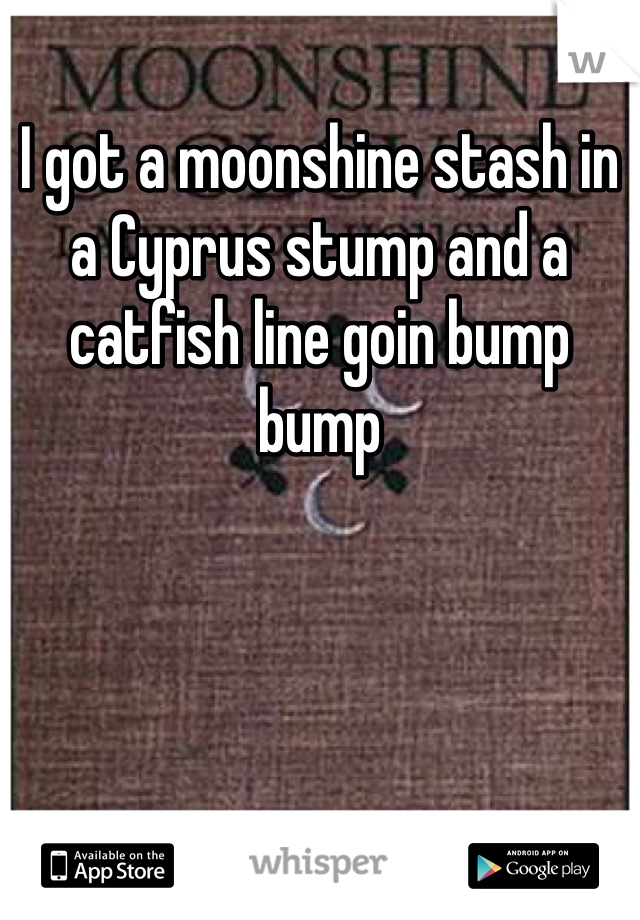 I got a moonshine stash in a Cyprus stump and a catfish line goin bump bump 