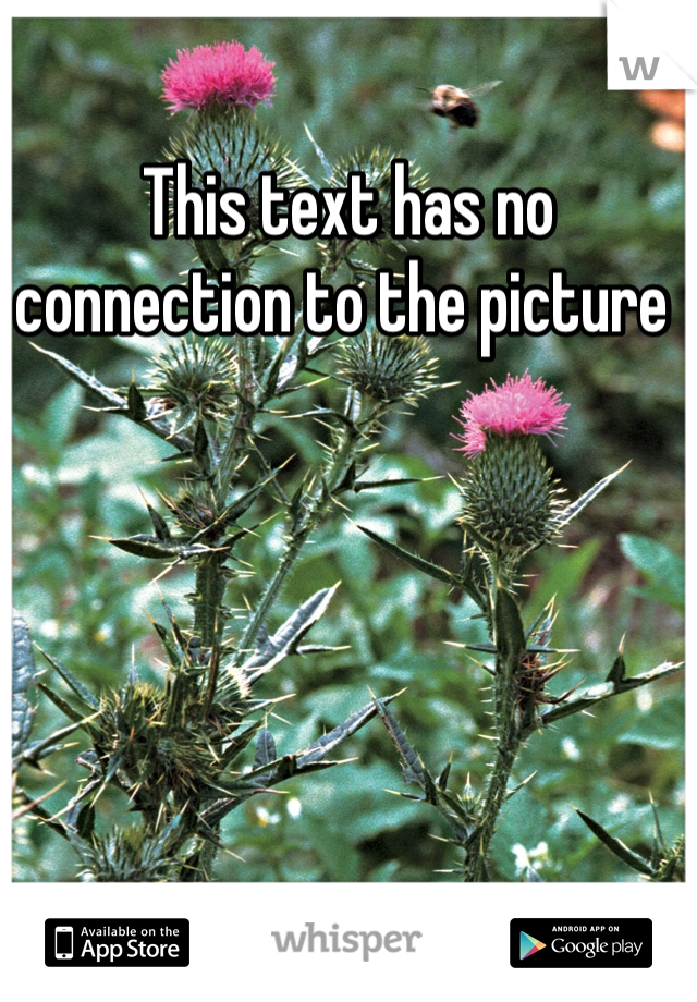 This text has no connection to the picture 