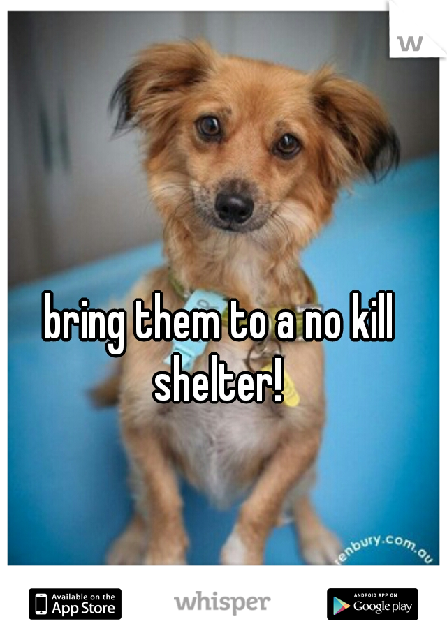 bring them to a no kill shelter! 