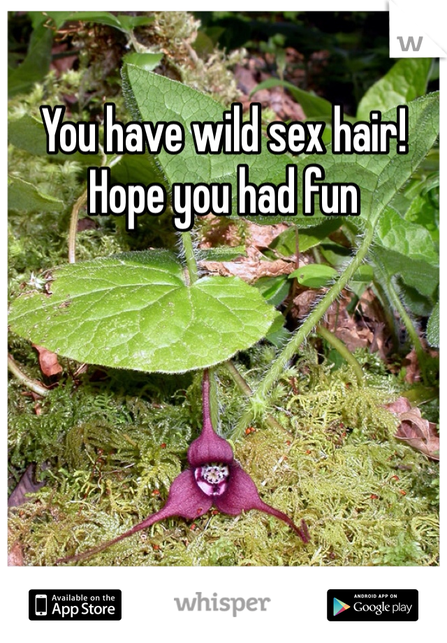 You have wild sex hair! Hope you had fun 