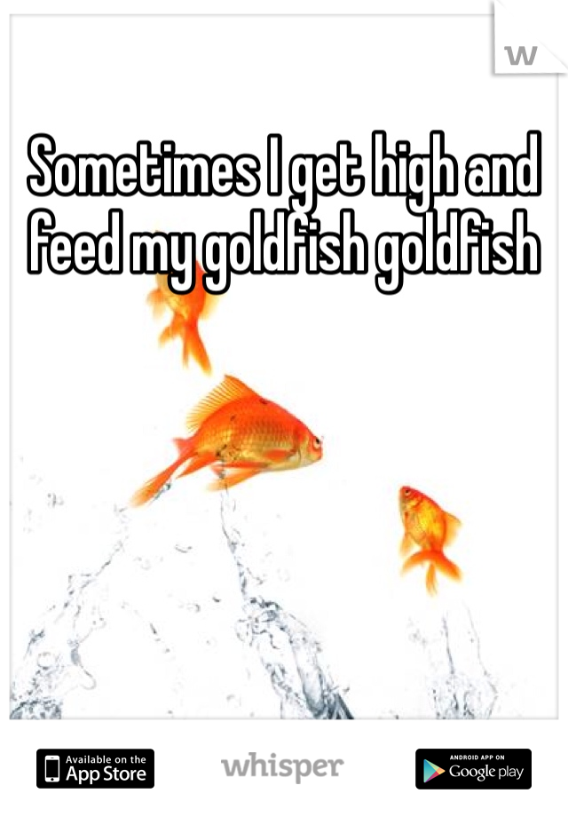 Sometimes I get high and feed my goldfish goldfish