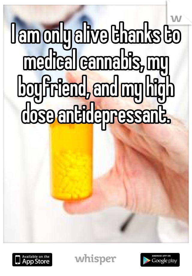 I am only alive thanks to medical cannabis, my boyfriend, and my high dose antidepressant.