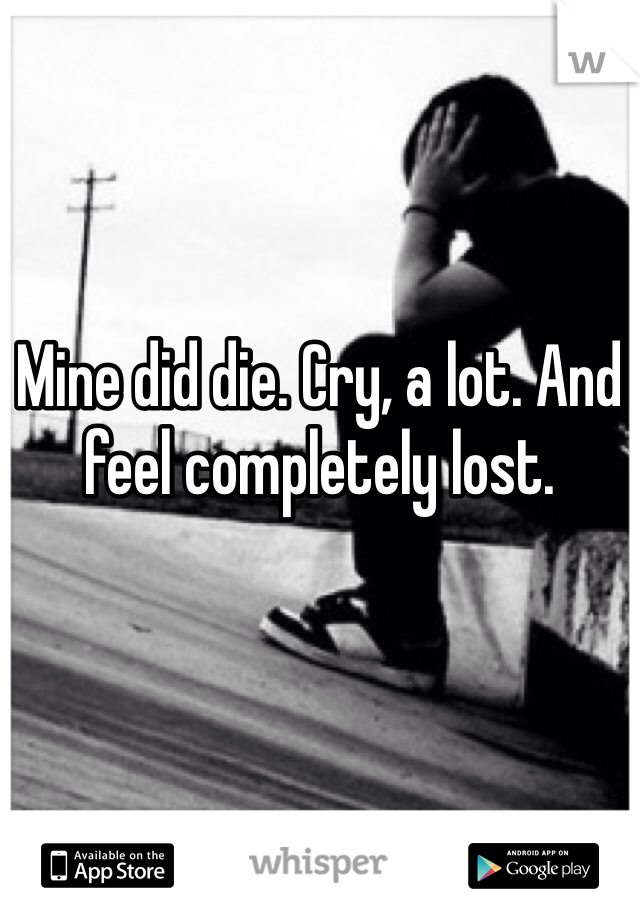 Mine did die. Cry, a lot. And feel completely lost. 