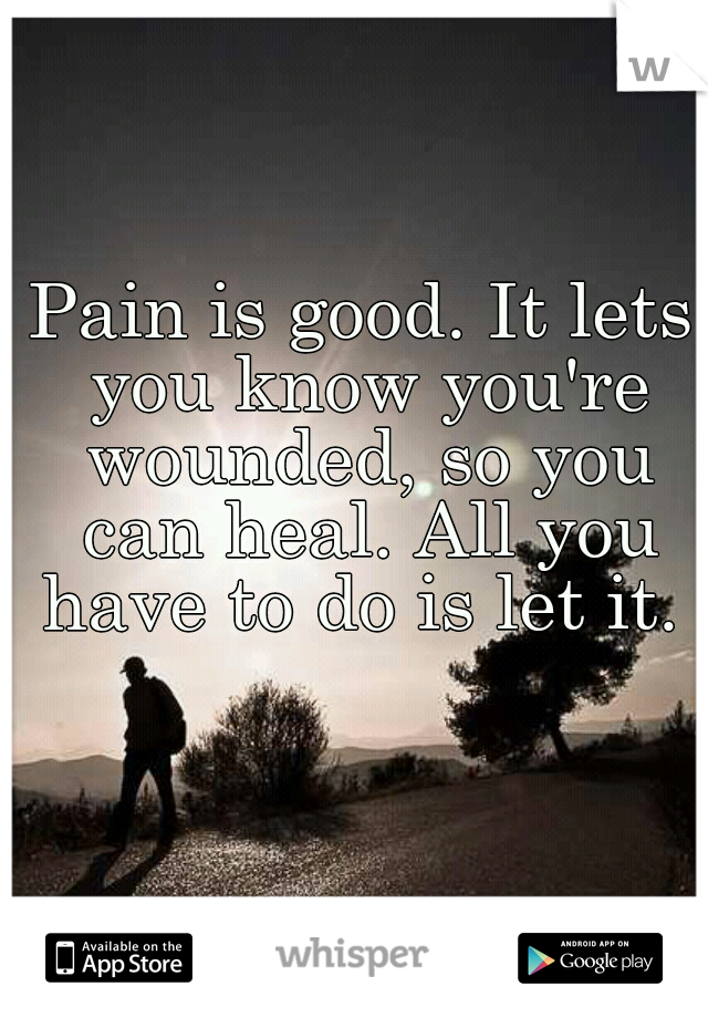 Pain is good. It lets you know you're wounded, so you can heal. All you have to do is let it. 