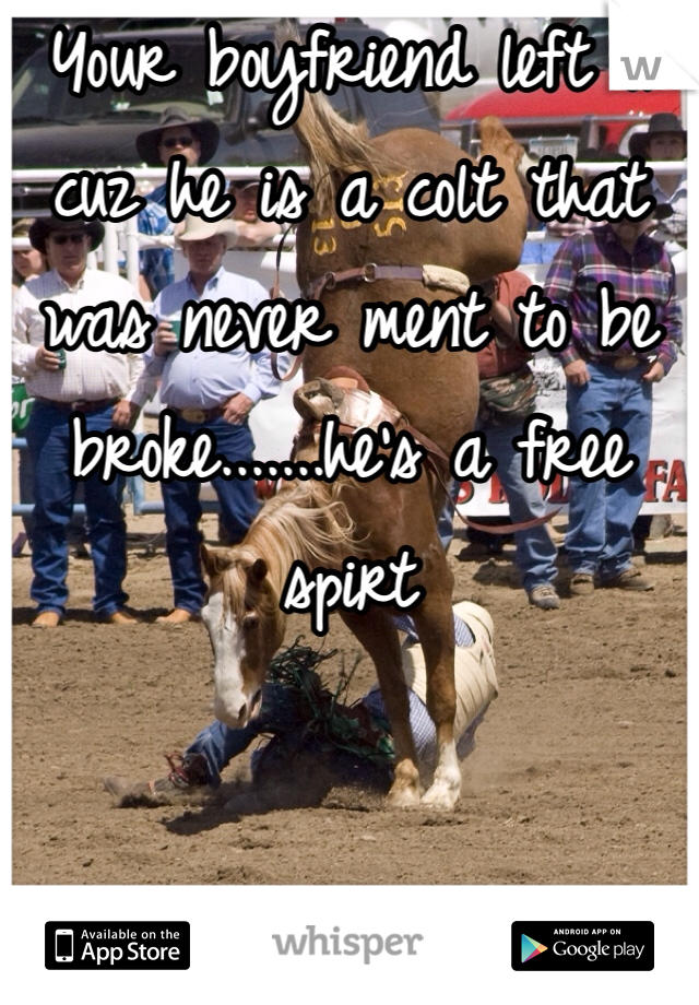 Your boyfriend left u cuz he is a colt that was never ment to be broke.......he's a free spirt