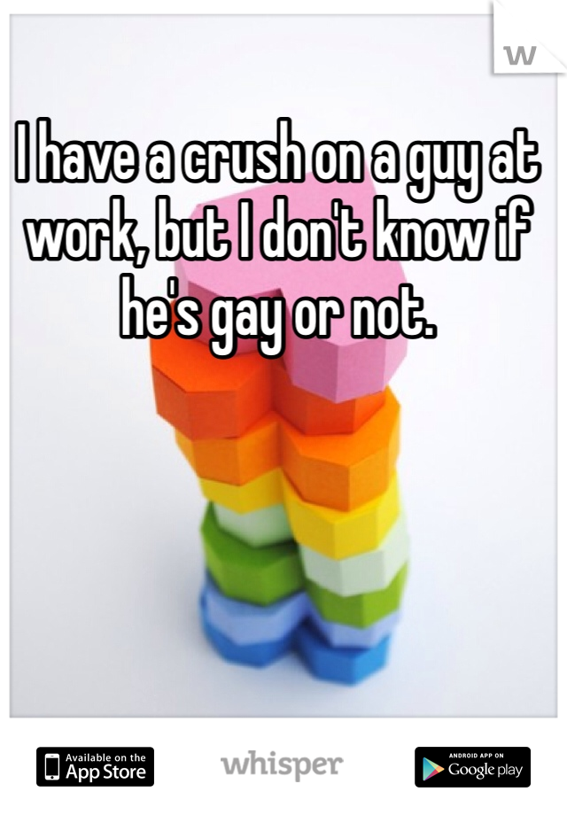 I have a crush on a guy at work, but I don't know if he's gay or not. 