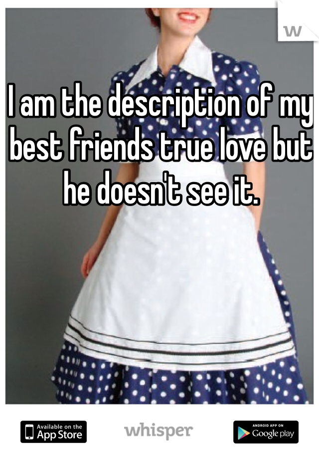 I am the description of my best friends true love but he doesn't see it. 