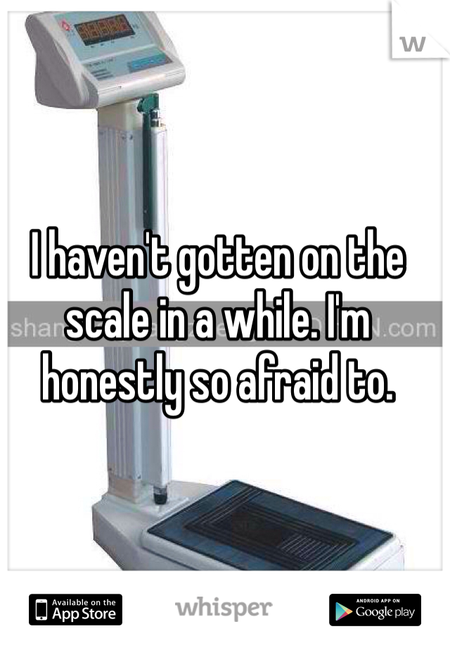 I haven't gotten on the scale in a while. I'm honestly so afraid to.