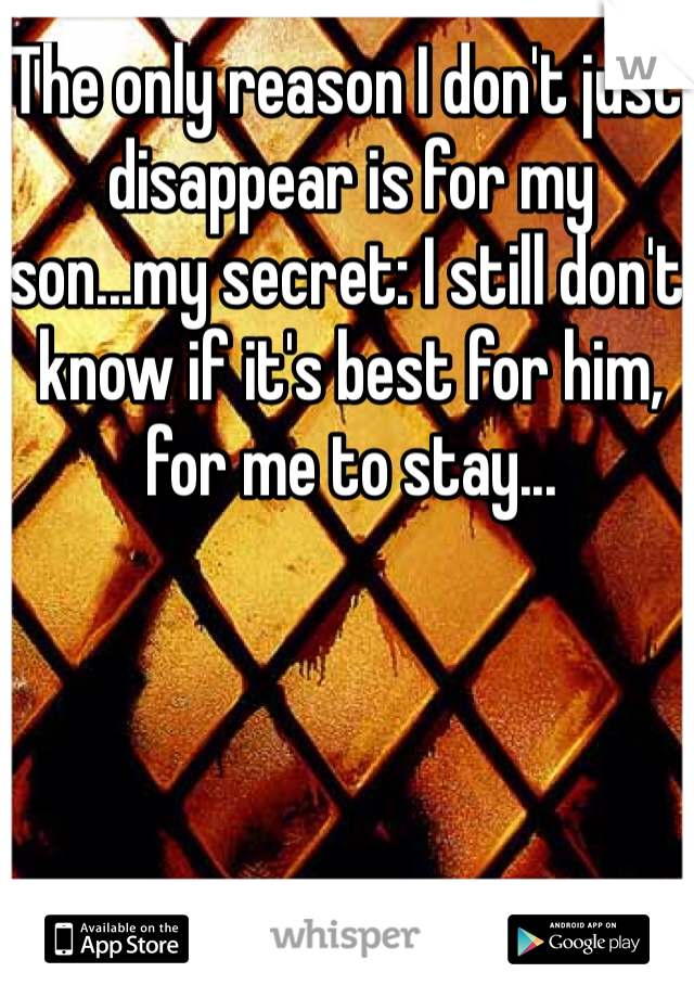 The only reason I don't just disappear is for my son...my secret: I still don't know if it's best for him, for me to stay...