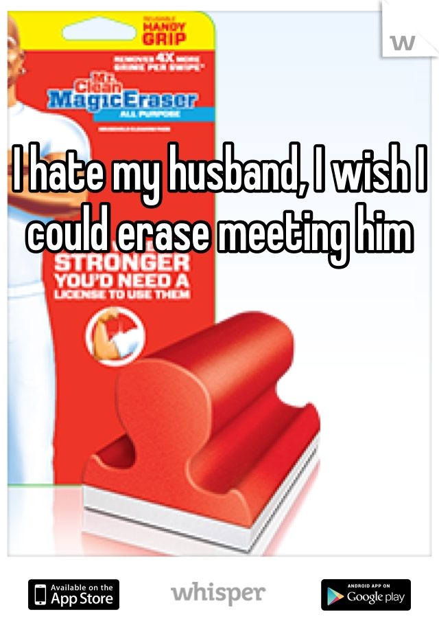 I hate my husband, I wish I could erase meeting him
