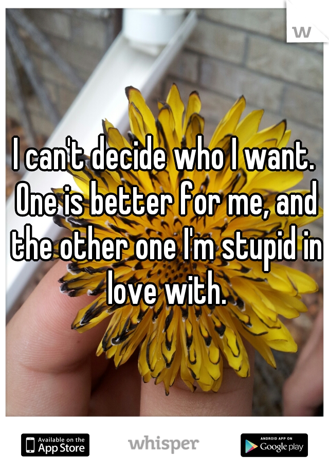 I can't decide who I want. One is better for me, and the other one I'm stupid in love with.