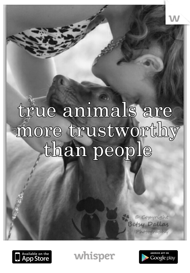 true animals are more trustworthy than people